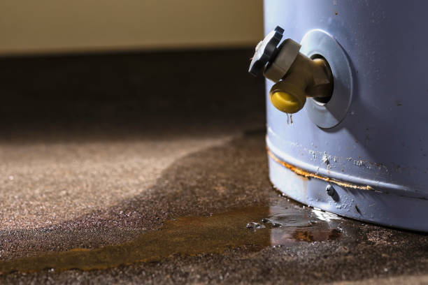 Best Professional water damage repair  in Goldendale, WA