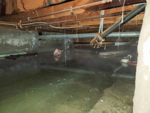 Best Commercial water damage restoration  in Goldendale, WA