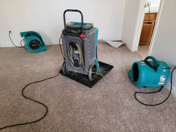 Best Flood damage cleanup  in Goldendale, WA