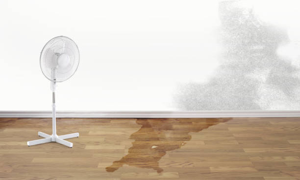 Best Flooded house restoration  in Goldendale, WA