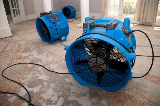 Best 24/7 water damage repair  in Goldendale, WA