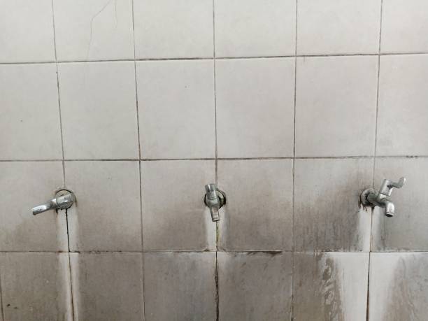 Best Water damage repair service  in Goldendale, WA