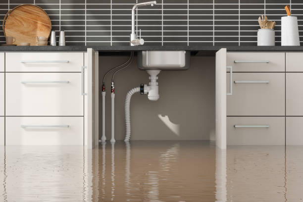 Best Local water damage restoration  in Goldendale, WA